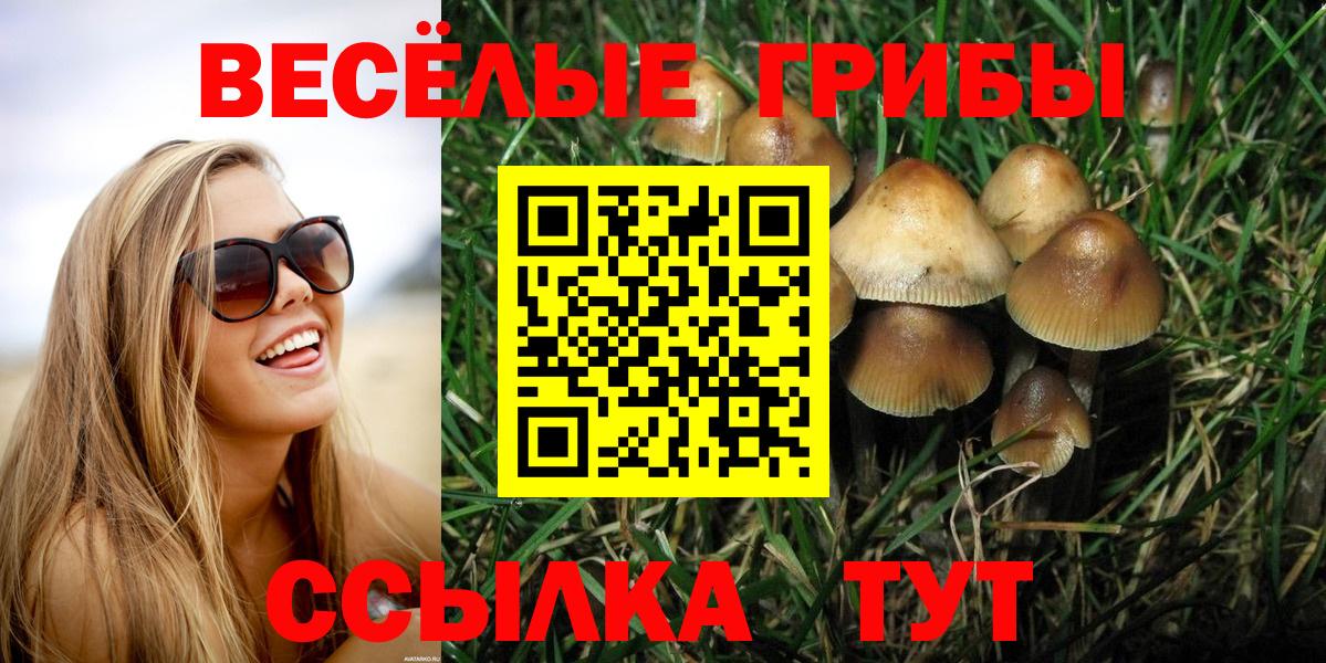 Галлюциногенные грибы Magic Shrooms  Псилоцибиновые грибы мицелий  Вход с VPN  Нижнекамск 